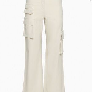 Aritzia Picture Cargo Pant
